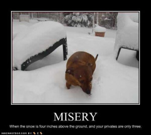 Time for some more dog funnies! Yes, and some cat funnies, too. Funny ...