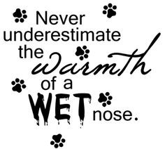 cute dog quote More