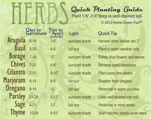 Chart for Planting Herbs Depth Germination Spacing and Thinning