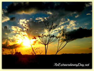... .net | Autumnal Skies | Sunset Silhouette & a Quote by Shelley