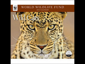 Wild Cats WWF 2013 Deluxe Wall Calendar