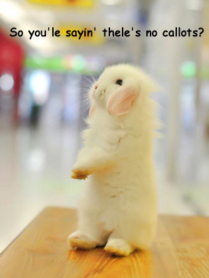 Awwww ♥ but I’ll get you some lettuce….