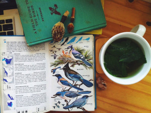 Spam For Spam Instagram Quotes Simple living - instagram