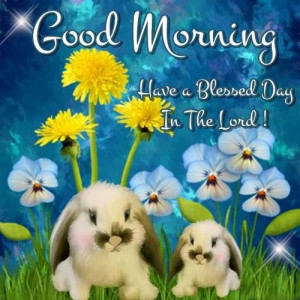 165204-Good-Morning-Have-A-Blessed-Day-In-The-Lord.jpg