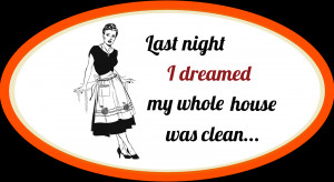 Last night I dreamed my whole house was clean...