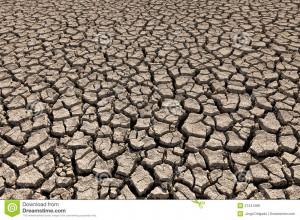 Royalty Free Stock Photos...