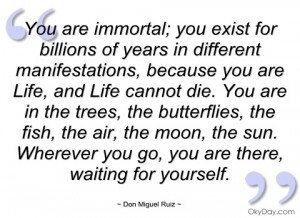 you are immortal don miguel ruiz