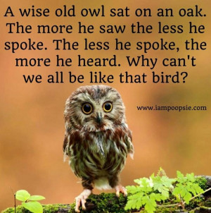 wise old owl sat on an oak, the more he saw the less he spoke... # ...