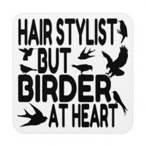 Funny Hair Stylist Notebook...