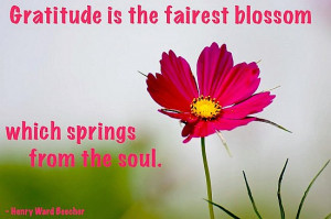 ... the fairest blossom which spring from the soul. – Henry Ward Beecher