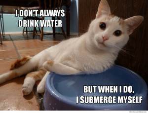 dont always drink water, but when I do I submerge myself – The ...