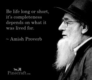 Proverb About Life Amish-proverb-be-life-long-or-