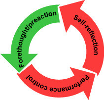 Three cyclical phases seem to emerge in the acquisition of self ...