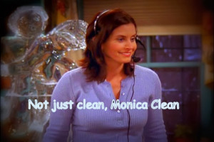 Monica-Geller-TOW-Phoebe-s-Wedding-10-12-monica-geller-9885841-720-480 ...