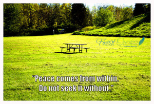Peace From Within Quotes