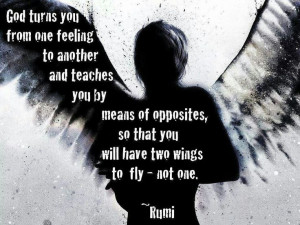 Rumi quote #wings #god #fly