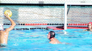 Water Polo Funny Quotes