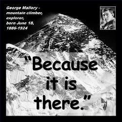 mallory_because_quote_2_trucker_hat.jpg?height=250&width=250 ...