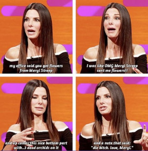 funny-picture-meryl-streep-sandra-bullock