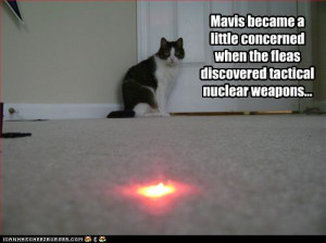 ... little concerned when the fleas discovered tactical nuclear weapons