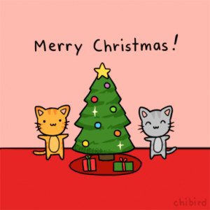 Merry Christmas and Happy Holidays everyone. ^__^