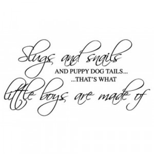Slugs And Snails and puppy dog tails Wall Sticker - Wall Quotes