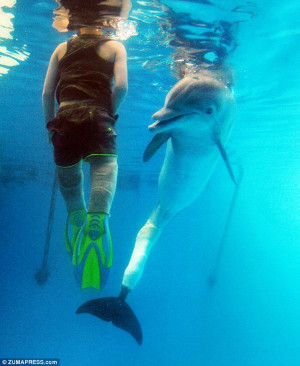 The Boy With A Dolphin Tale
