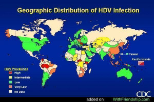 Epidemiology Picture Slideshow