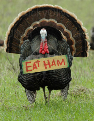 turkey-eat-ham-turkey.jpeg
