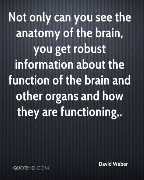 David Weber - Not only can you see the anatomy of the brain, you get ...
