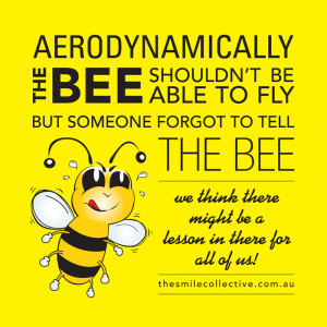 What we can all learn from the bee!!