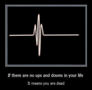 LOVE those ups and downs :)