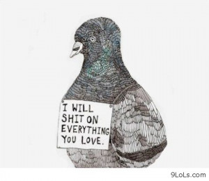 ... pictures, funny quotes, funny sayings, funny summer 2013, sayings