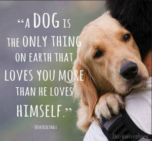 Dogs love us unconditionally