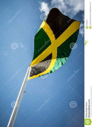 Print The Flag Bermuda Here