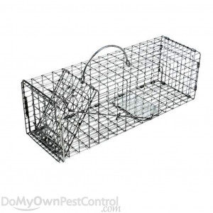 Sort By: Newest First Oldest First Most Helpful First