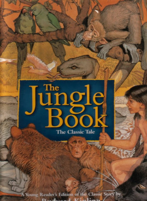 short bob hairstyles 2013 for women over 40 , short quotes on attitude ...