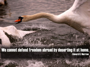 Freedom Quotes Graphics, Pictures