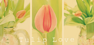 Love You Tulips Tulips with you. 
