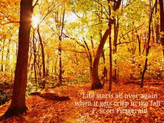 Fall Weather Quotes