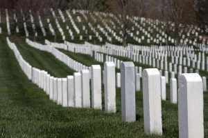 Picture of Arlington National Cemetery (U.S.A.): Well-organized rows ...