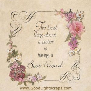 The best thing about a sister is having a best friend quotes