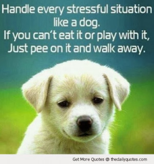 good-funny-dog-puppy-cute-life-quotes-sayings-picture-images.jpg