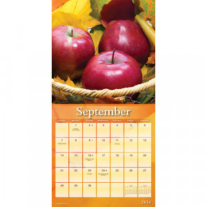 Home > Obsolete >Seasons 2014 Wall Calendar
