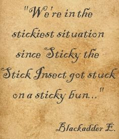 ... on a sticky bun captain blackadder blackadder goes forth # quotes
