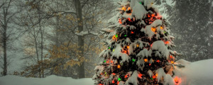 2560x1024 Wallpaper tree, garland, new year, christmas, trees, snow ...