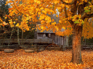 John Cable Mill, Cades Cove at Great Smoky Mountains National Park in ...