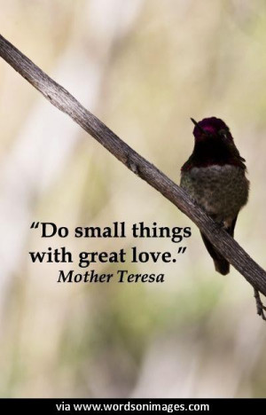 Quotes by mother teresa