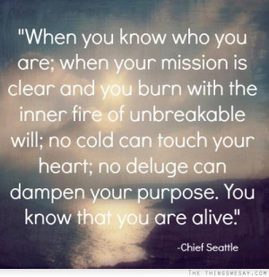 you are when your mission is clear and your burn with the inner fire ...