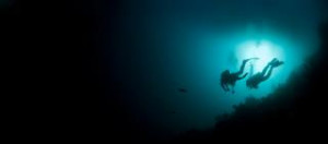 Deep Dive Ocean Life
